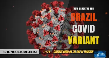 Brazil's COVID Variant: Unraveling Its Deadly Impact and Risks
