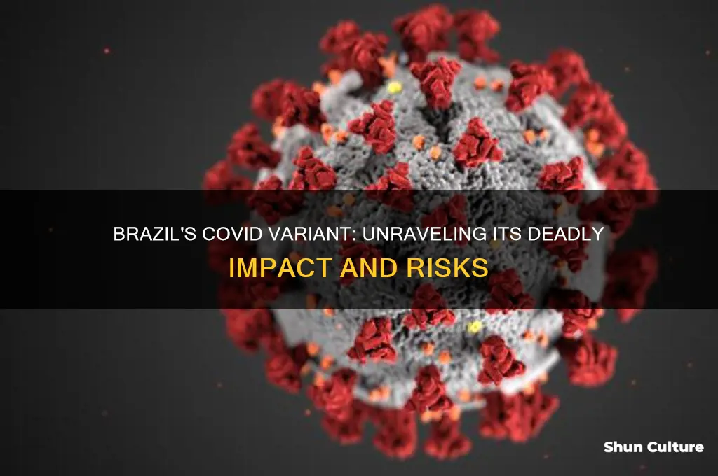 how deadly is the brazil covid variant