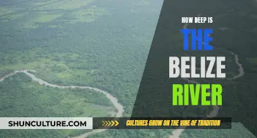 Exploring the Depths of Belize River: How Far Down?