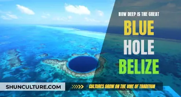 Exploring the Great Blue Hole's Depth in Belize