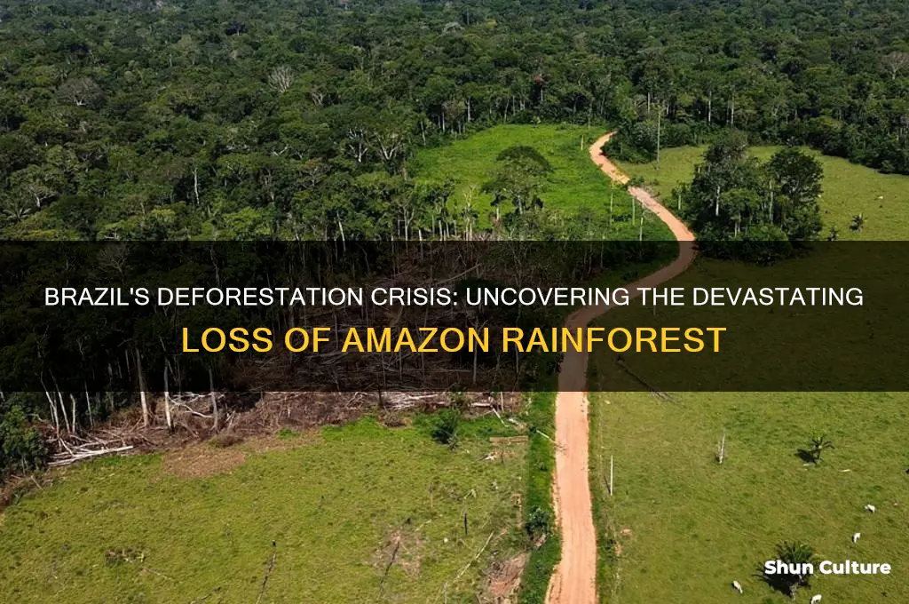 how deforestated is brazil