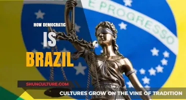 Brazil's Democracy: Strengths, Challenges, and the Path Forward