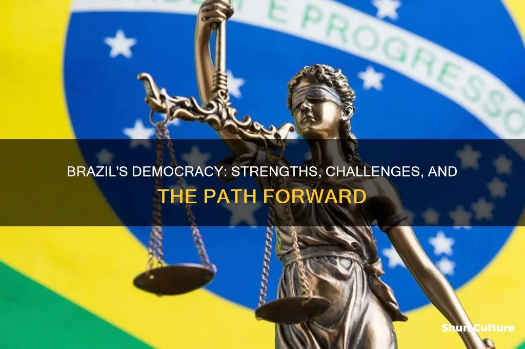 how democratic is brazil