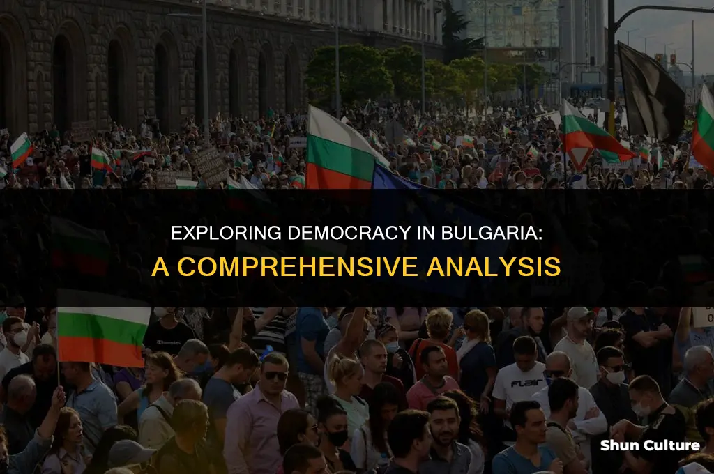how democratic is bulgaria