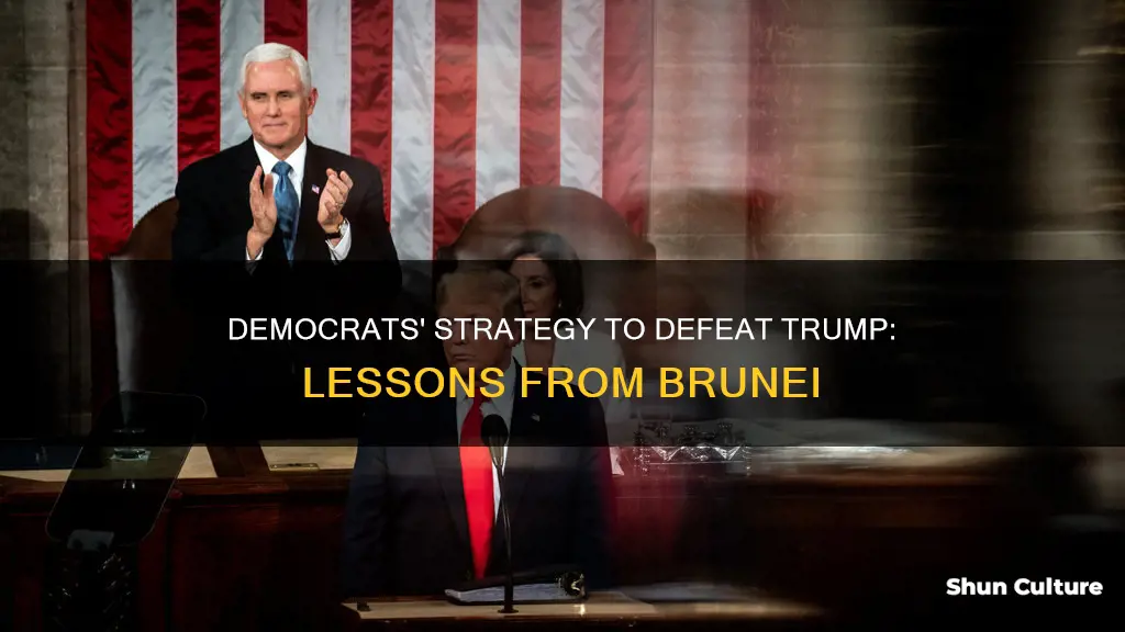 how democrats defeat trump brunei