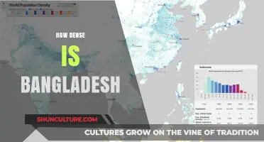 Exploring Bangladesh's Population Density: A Comprehensive Analysis of Its Crowded Landscape