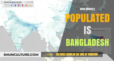 Exploring Bangladesh's Population Density: A Comprehensive Analysis of Crowded Living