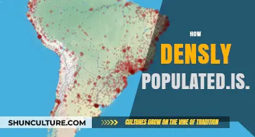 Exploring Brazil's Population Density: Urban Concentration and Regional Disparities