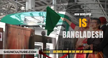 Bangladesh's Development Journey: Progress, Challenges, and Future Prospects