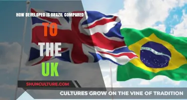 Brazil vs. UK: Economic, Social, and Infrastructure Development Compared