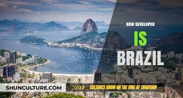 Brazil's Development: Economy, Infrastructure, and Social Progress Analyzed