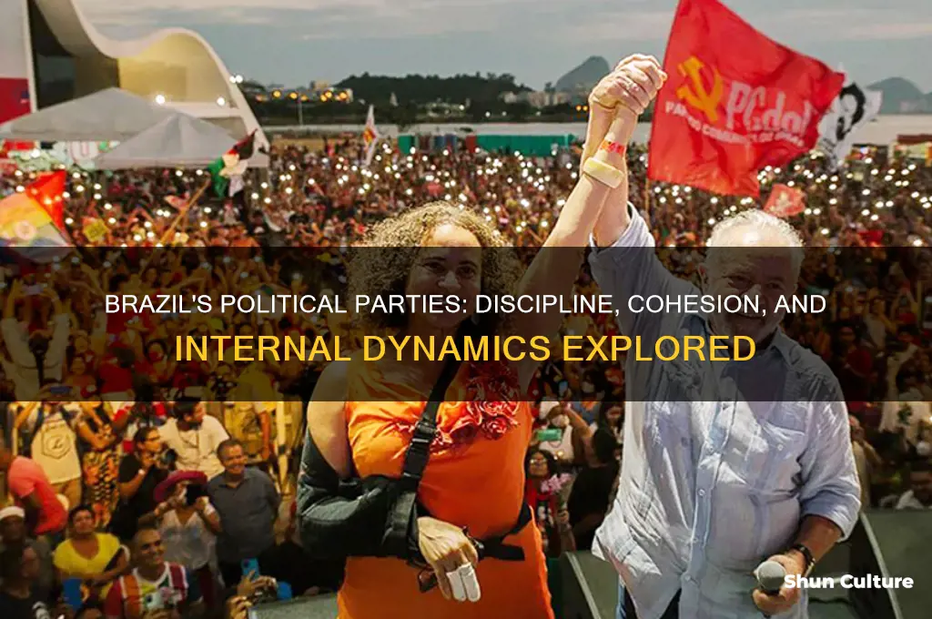 how diciplined are political parties in brazil
