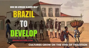 African Slavers' Role in Shaping Brazil's Economic Development