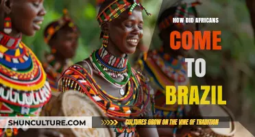 African Roots in Brazil: A Journey Through History and Culture