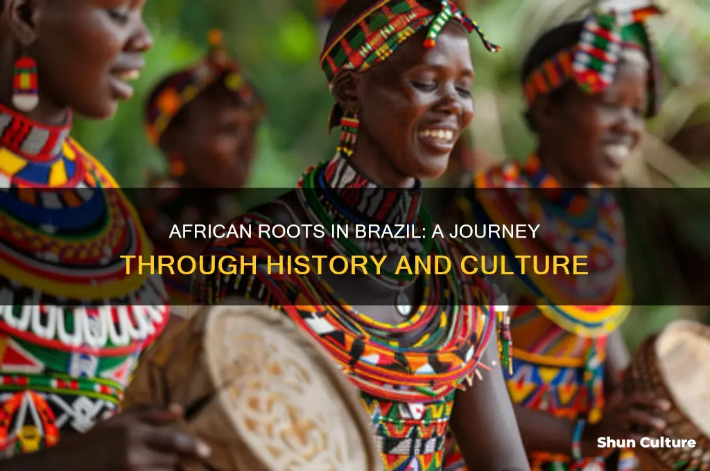 how did africans come to brazil