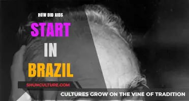 Unveiling the Origins of Brazil's AIDS Epidemic: A Historical Journey