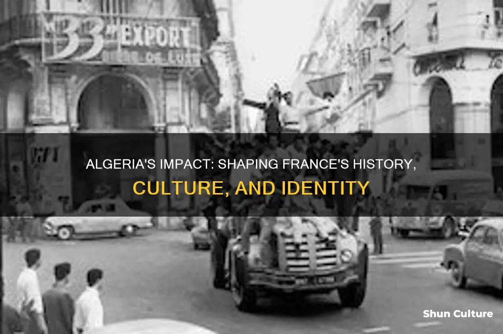 how did algeria affect france