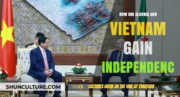 Algeria and Vietnam's Independence: A Journey of Struggle and Triumph