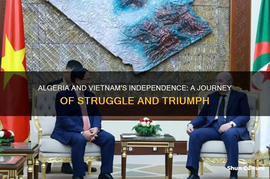 how did algeria and vietnam gain independence