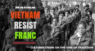 Algeria and Vietnam's Defiance: Strategies Against French Colonial Rule