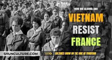 Algeria and Vietnam's Defiance: Strategies Against French Colonial Rule