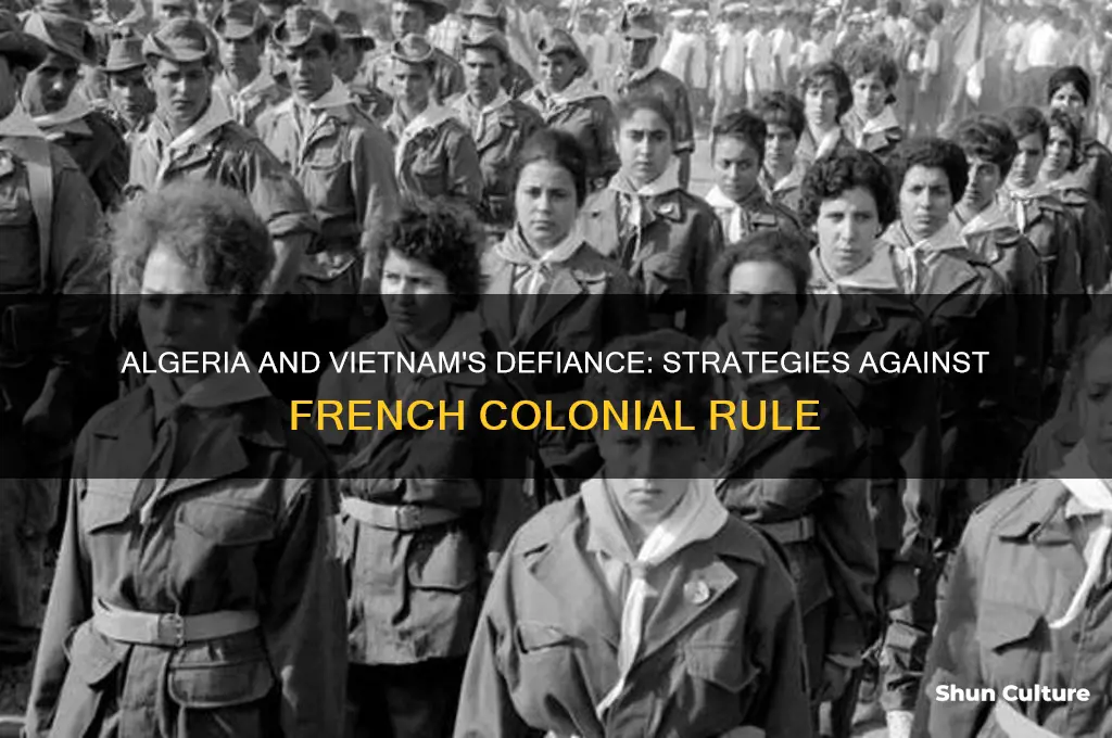 how did algeria and vietnam resist france