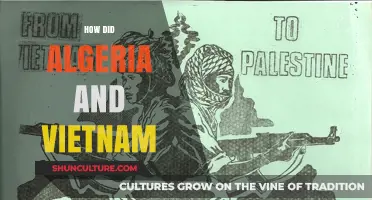 Algeria and Vietnam: Shared Struggles, Independence, and Global Solidarity