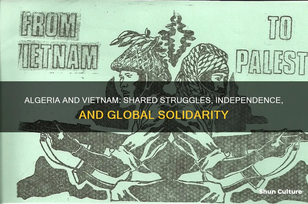 how did algeria and vietnam
