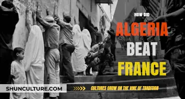 Algeria's Historic Victory: How They Defeated France in the Battle of Algiers