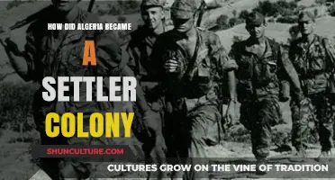 Algeria's Transformation: From Indigenous Land to French Settler Colony