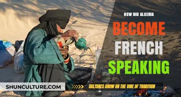 Algeria's Linguistic Evolution: How French Became the Dominant Language