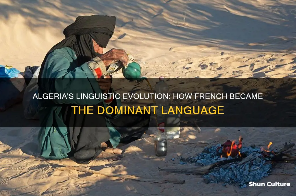 how did algeria become french speaking