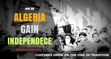 Algeria's Long Road to Independence: A Struggle for Freedom
