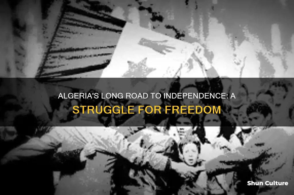 how did algeria gain independece