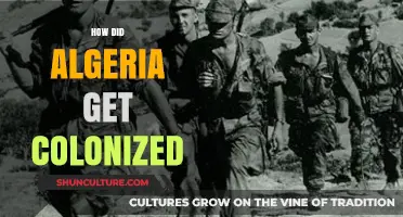 The Colonization of Algeria: A Historical Overview of French Occupation
