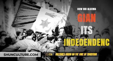 Algeria's Long Struggle for Independence: A Historic Journey to Freedom