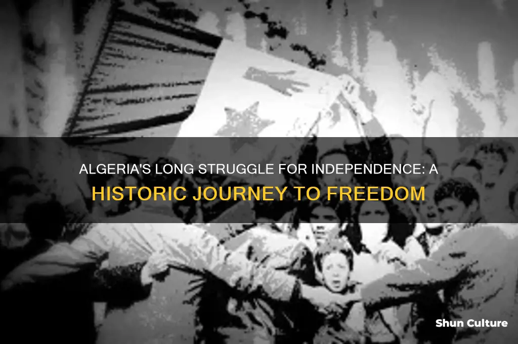 how did algeria gian its indeoendence
