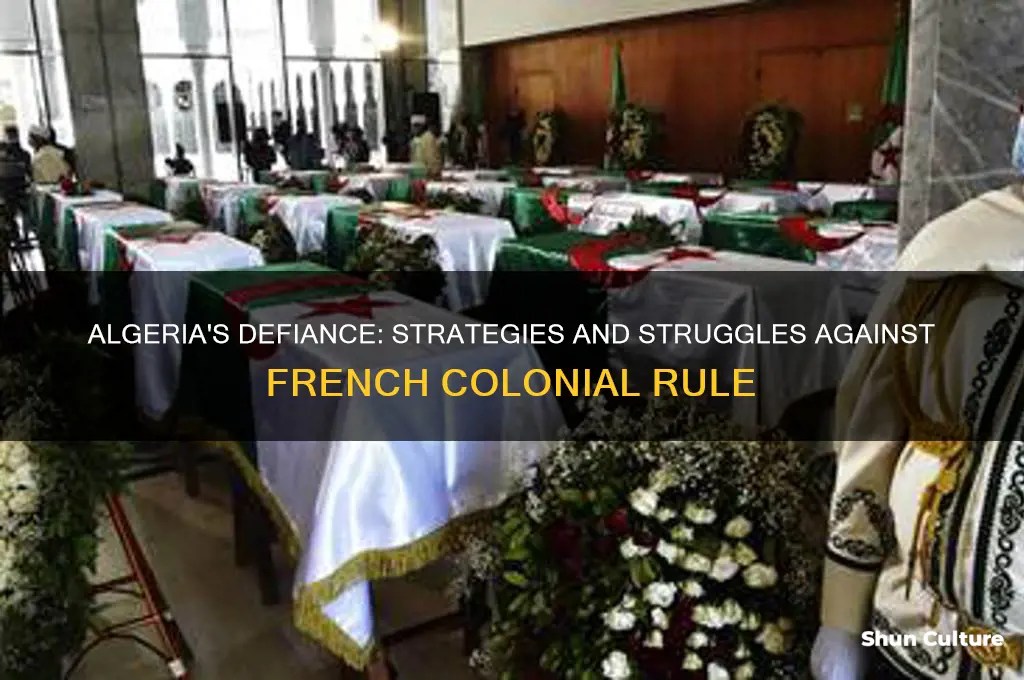 how did algeria resist french rule