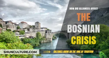 Alliances and the Bosnian Crisis: Shaping Conflict and Diplomacy