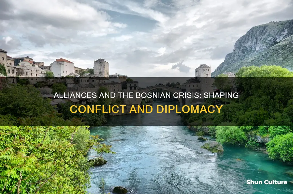 how did alliances affect the bosnian crisis