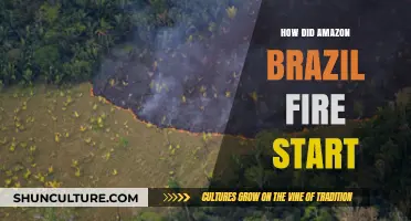 Amazon Brazil Fire: Unraveling the Devastating Blaze's Origins and Impact