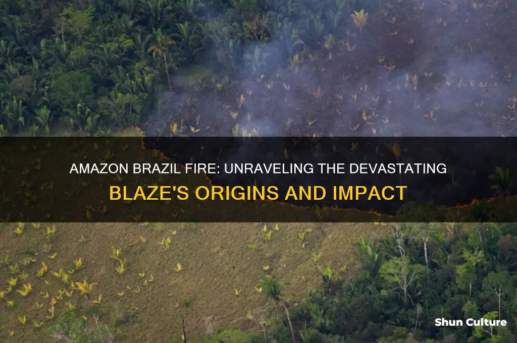 how did amazon brazil fire start