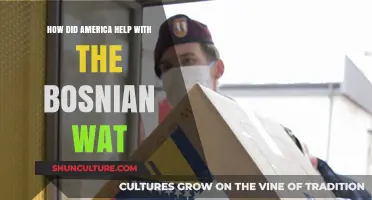 America's Role in Ending the Bosnian War: Key Contributions and Impact
