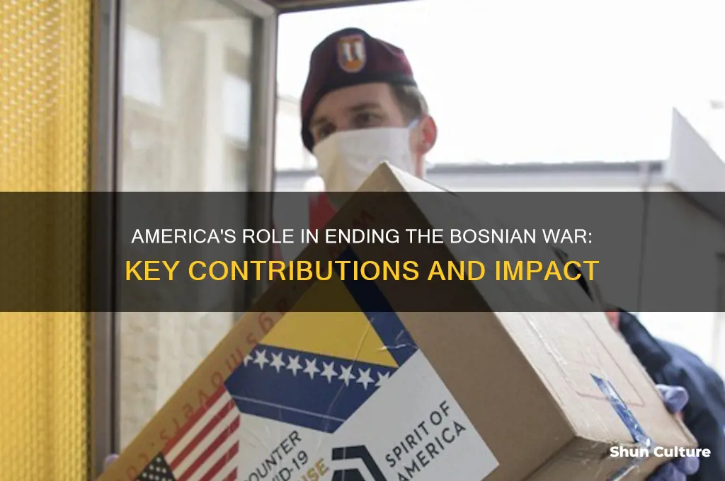 how did america help with the bosnian wat
