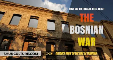 American Perspectives on the Bosnian War: Empathy, Indifference, and Intervention