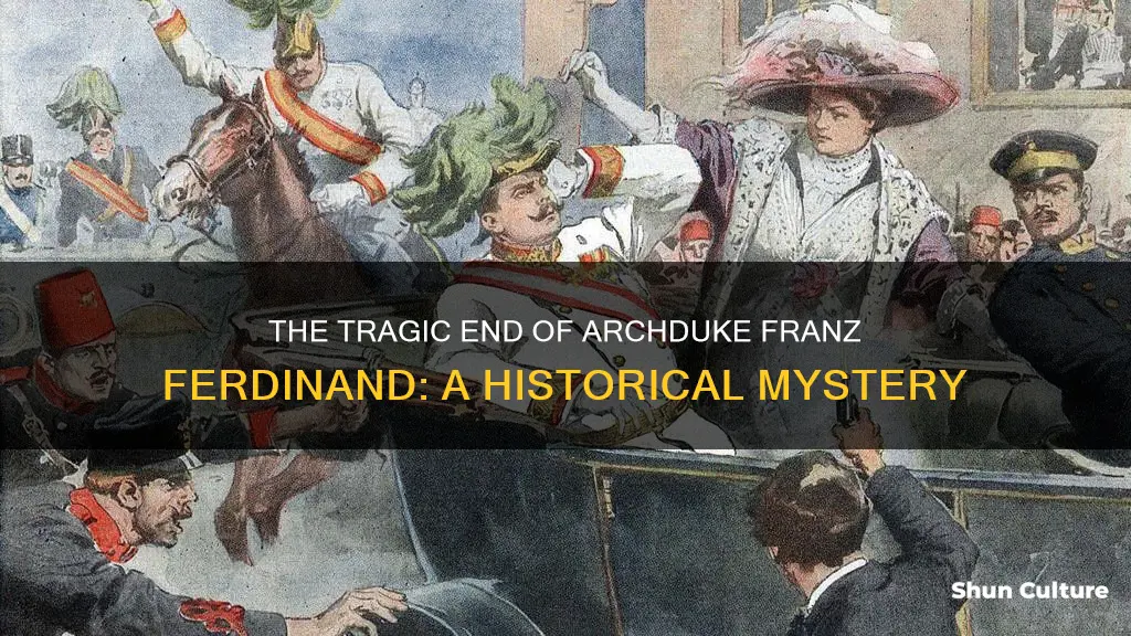 how did archduke franz ferdinand of austria die