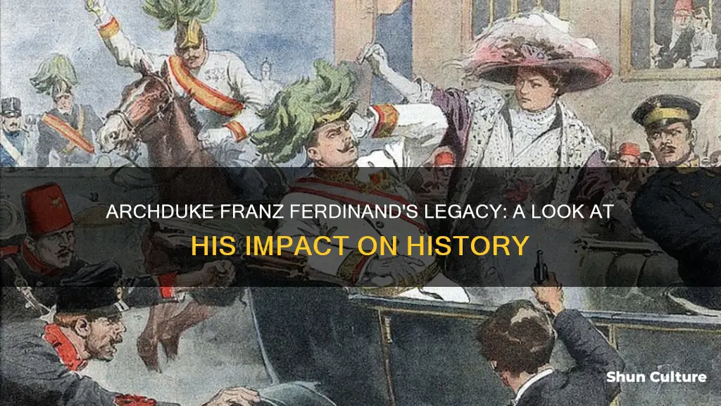 how did archduke franz ferdinand of austria