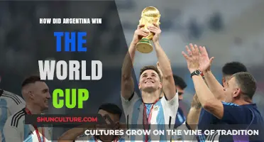 Triumph in Qatar: Argentina's Journey to World Cup Glory