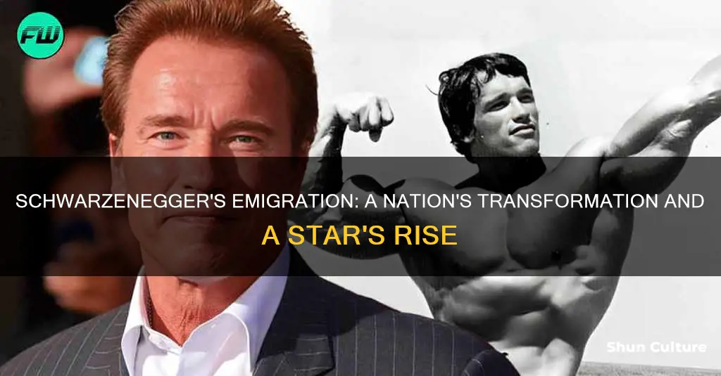 how did arnold schwarzenegger