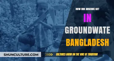 Arsenic Crisis in Bangladesh: Unraveling Groundwater Contamination Causes